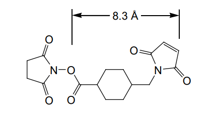 多肽KLH,BSA,OVA偶聯(lián)服務(wù)