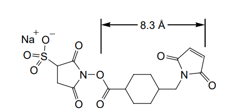 多肽KLH,BSA,OVA偶聯(lián)服務(wù)