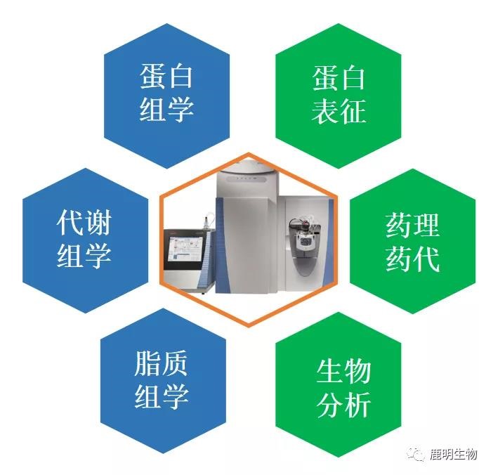 生物藥定性分析檢驗（蛋白質(zhì)、多肽）、臨床醫(yī)學(xué)前DMPK科學(xué)研究及微生物剖析、生物藥