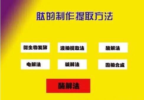 肽的分類有哪些？如何區(qū)分小分子小分子活性肽的好壞