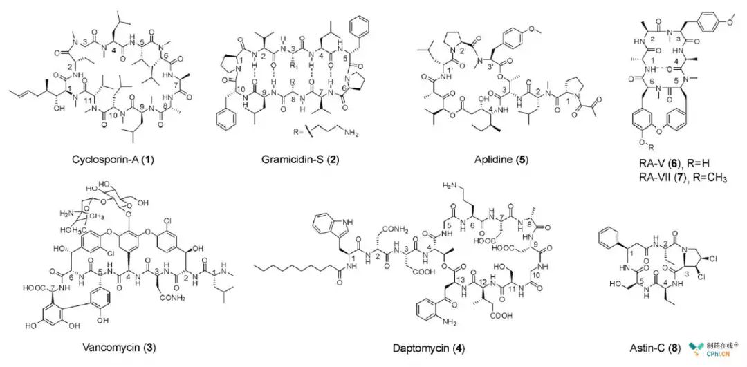 淺談環(huán)肽類(lèi)分子藥物開(kāi)發(fā):值得深耕的藥物領(lǐng)域