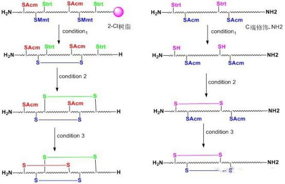 肽對二硫鍵的環(huán)化技術(shù)