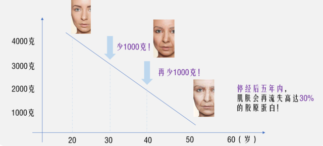 想讓皮膚維持年輕態(tài)，就需要多補(bǔ)膠原蛋白肽