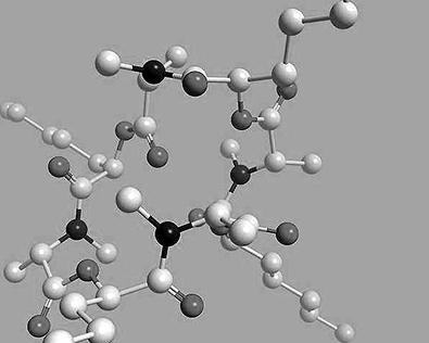 PNAS:我國科學(xué)家表明心臟多肽生長激素心室利鈉肽抑止神經(jīng)遞質(zhì)前神經(jīng)遞質(zhì)傳送的信號