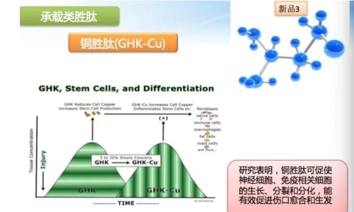 藍銅勝肽凍干粉修復(fù)作用?怎樣？帶你了解一下！