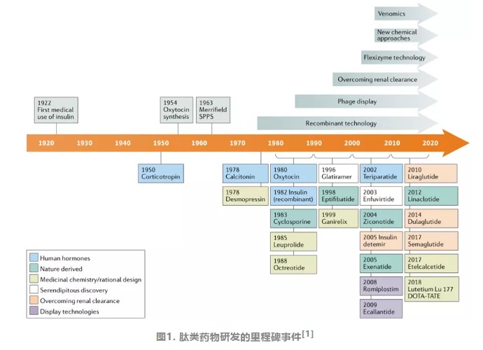 肽類藥的研發(fā)進(jìn)度,你知道嗎？