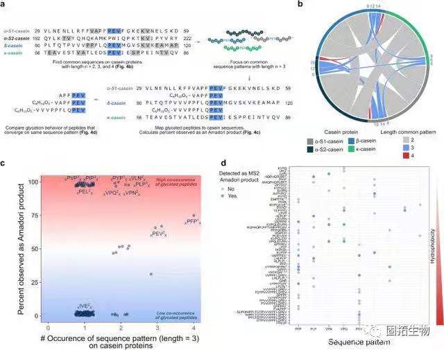 科學家探索264個肽的位點特異性糖基化，研究肽序列表征驅動機理