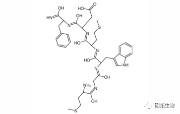 固拓生物多肽的三個重要的特點