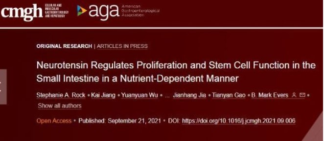 特殊的神經(jīng)降壓素或能更改人體結(jié)腸中的干細胞作用