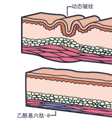 我是美容護(hù)膚多肽?，一個(gè)?平平無(wú)奇的成份小天才