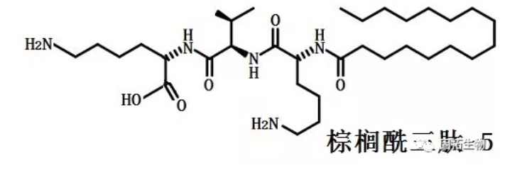 化妝品多肽棕櫚酰三肽-5性質(zhì)、用途與生產(chǎn)工藝