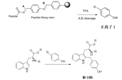 多肽固相合成有哪些常用樹脂？