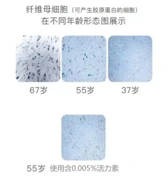 乙酰基六肽-7對(duì)皮膚的作用機(jī)理