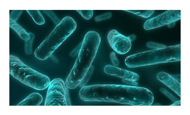 了解抗菌肽分類、功能機制和生物性能機制