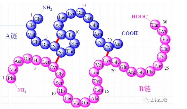 多肽內(nèi)二硫鍵問題