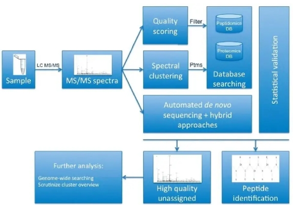 多肽質(zhì)譜的進一步探索