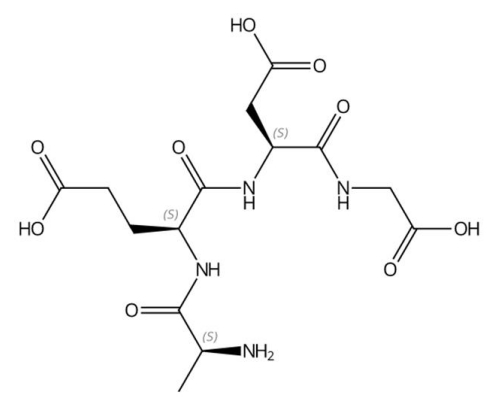 埃皮塔隆的作用—固拓生物