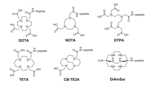 固拓生物提供多肽螯合修飾